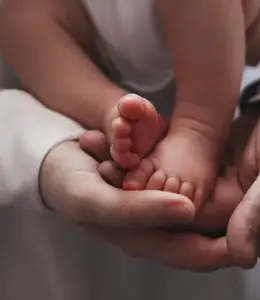 Paternity